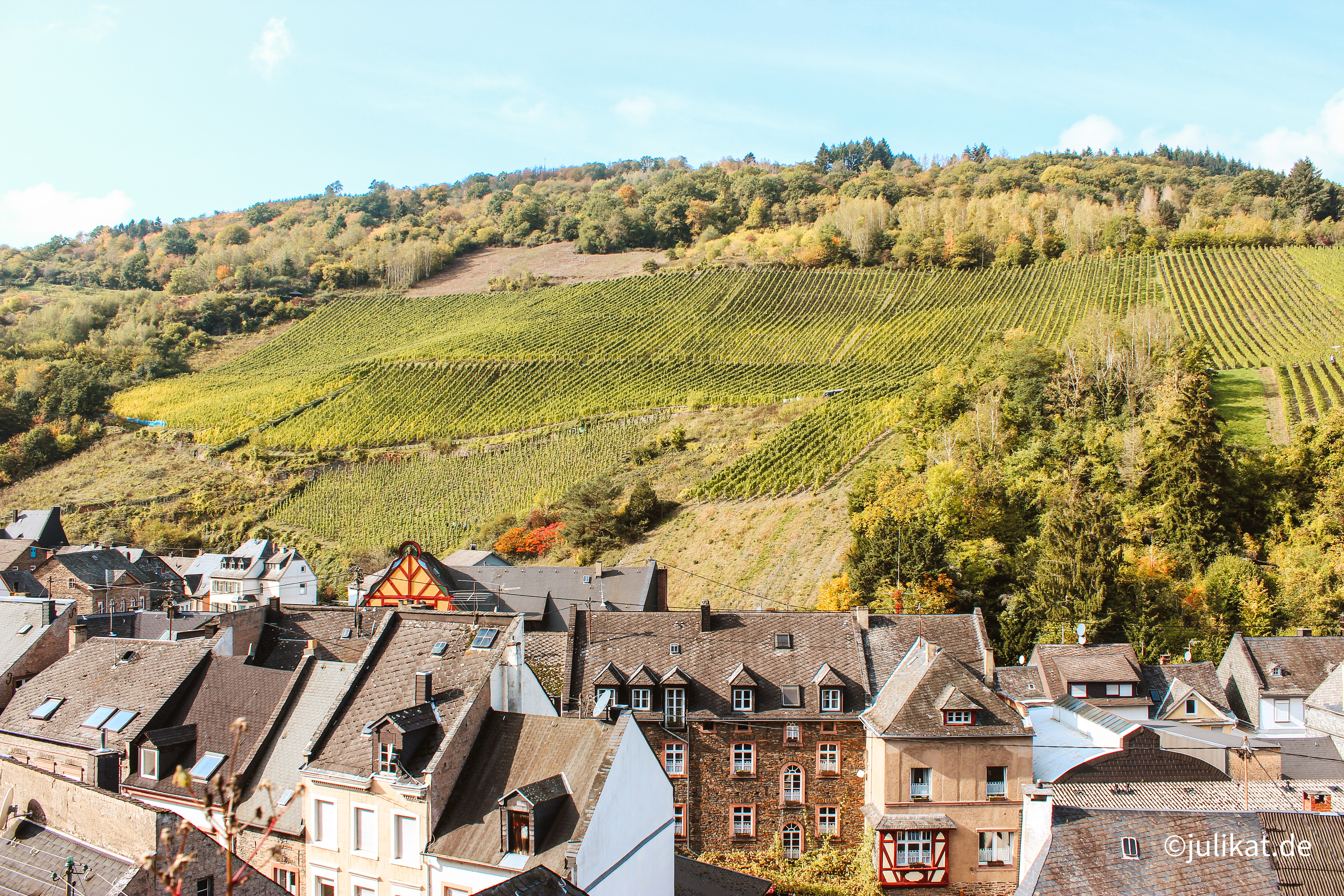 Weinberge in Trarbach