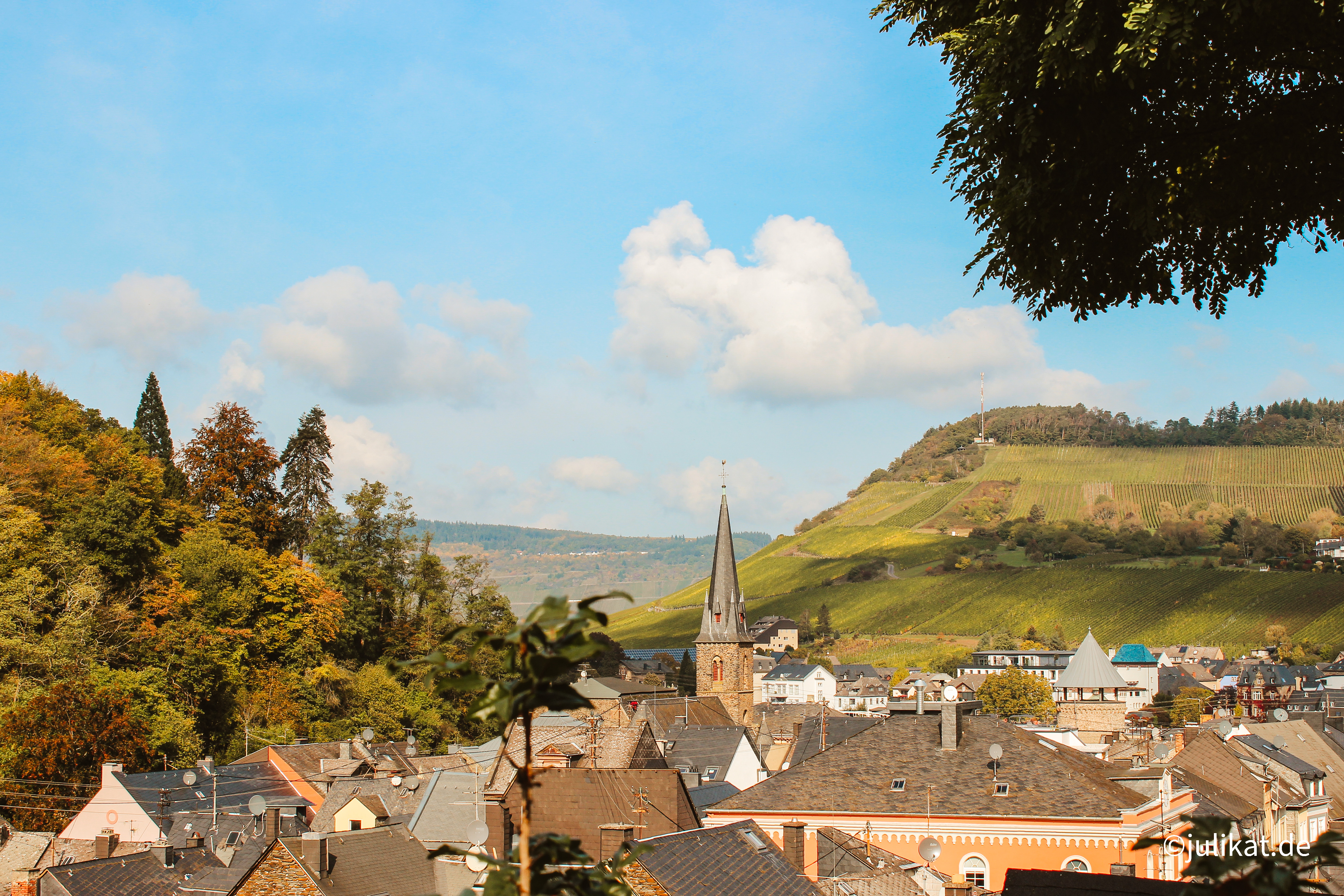 Blick über Trarbachs Tal