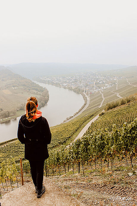 Am Fuße der Weinberge