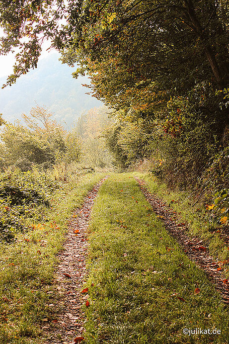 Herbstlicher Wanderweg