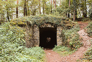 Bewachsene Höhle im Wald