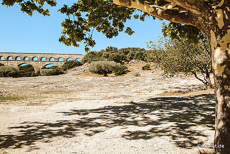 Trockene, mediterrane Landschaft mit Olivenhainen