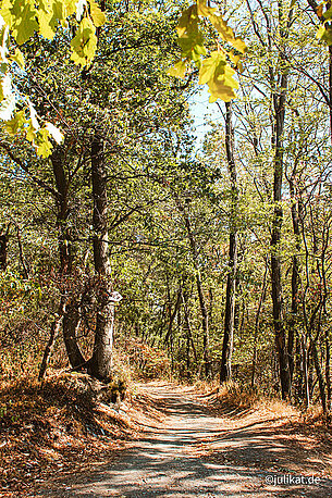 Waldweg