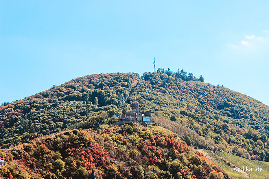 Blick hinauf zum Burgberg