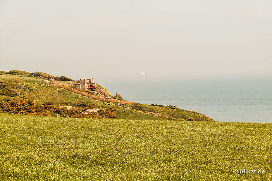 Blick über grüne Wiese und Küste zum Schrägaufzug