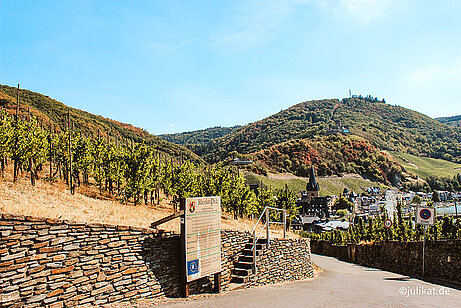 Schiefermauer entlang der Weinberge