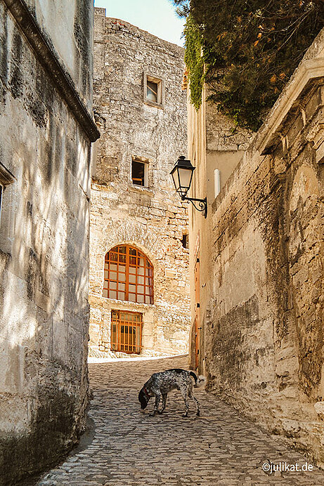 Einsame Steingasse mit Hund