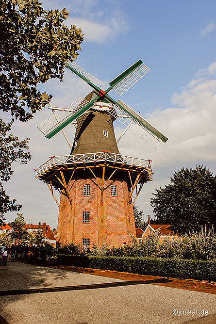 Blick zur Mühle 