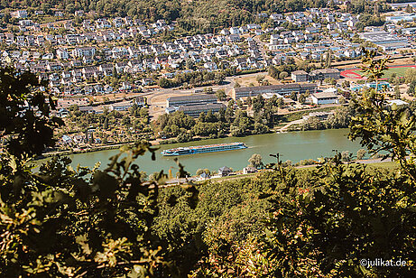 Ausblick vom Panoramaweg "Maria Zill" über die Mosel