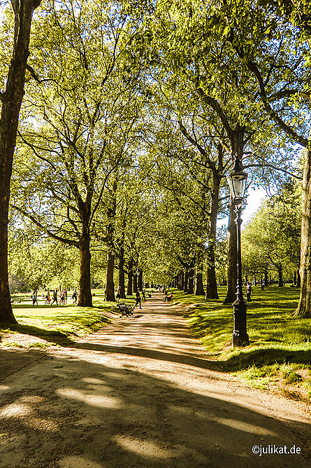 Parkweg umgeben von Bänken und grünen Bäumen