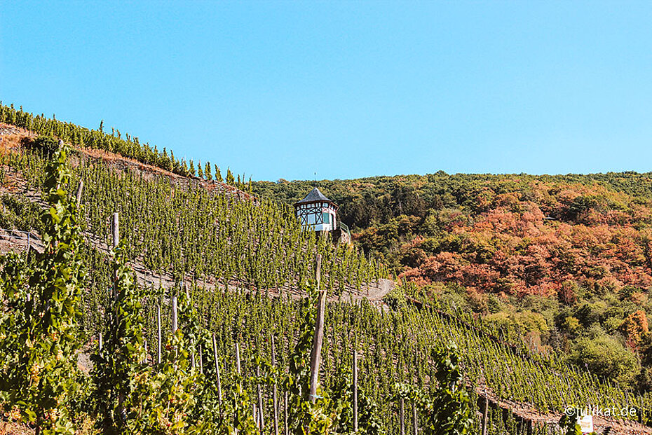 Wanderwege durch die Weinberge