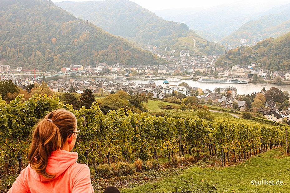 Blick von der Bank aus hinunter nach Traben-Trarbach