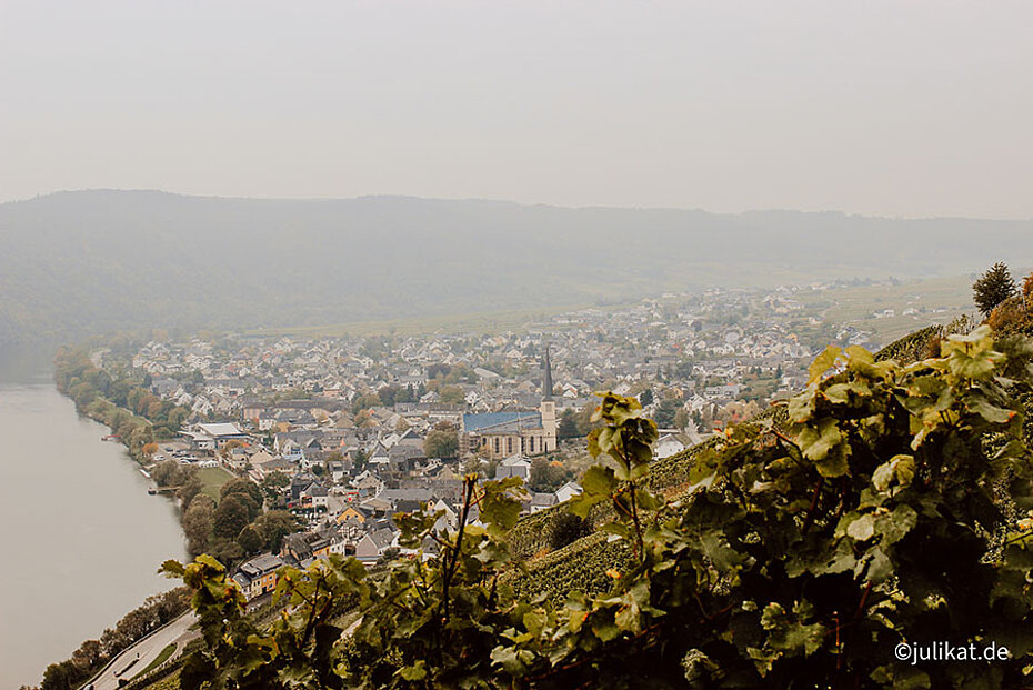 Blick über das Winzerdorf bei Nebel