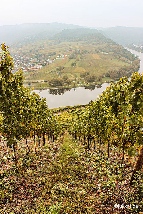 Steillage in der Herbstlandschaft