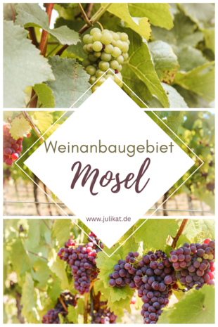 Pinterest Collage Mosel mit Weintrauben