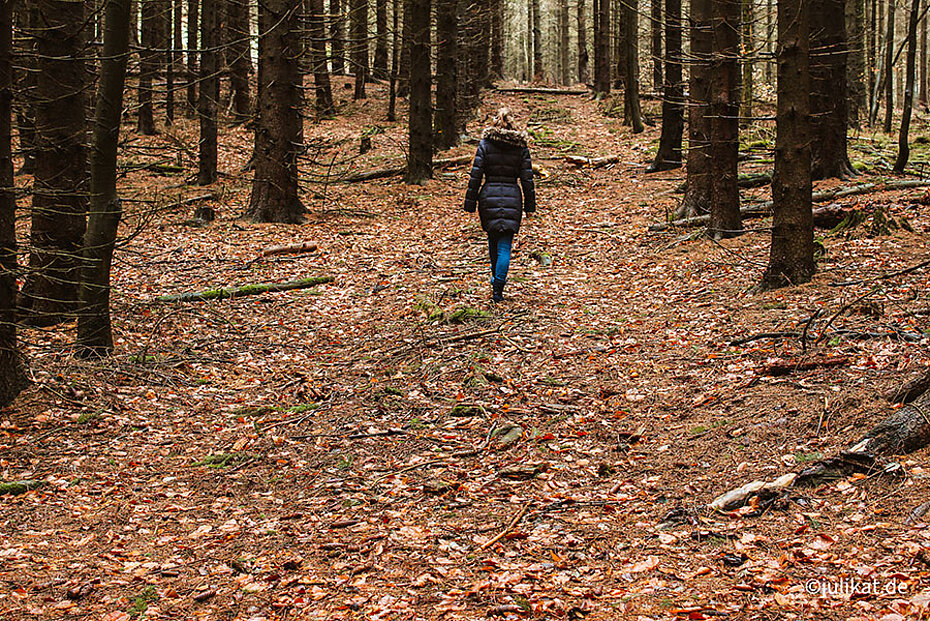 Spaziergang durch den Wald