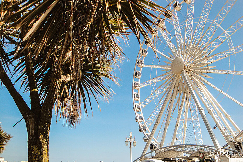 Palme vor weißem Riesenrad 