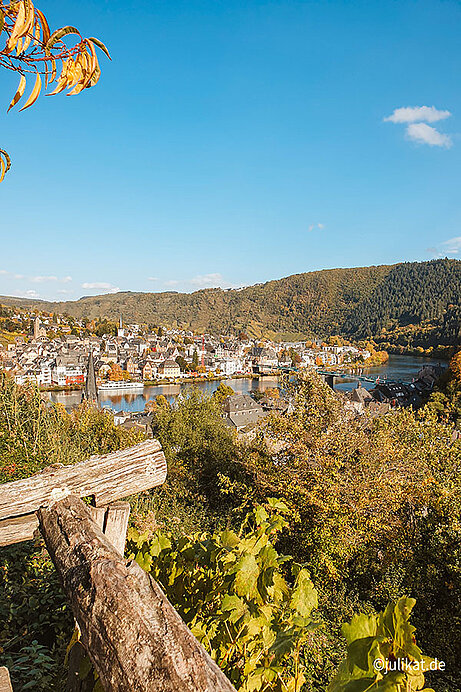 Blick vom Weinberg über die Mosel